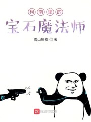 ������ı�ʯħ��ʦ